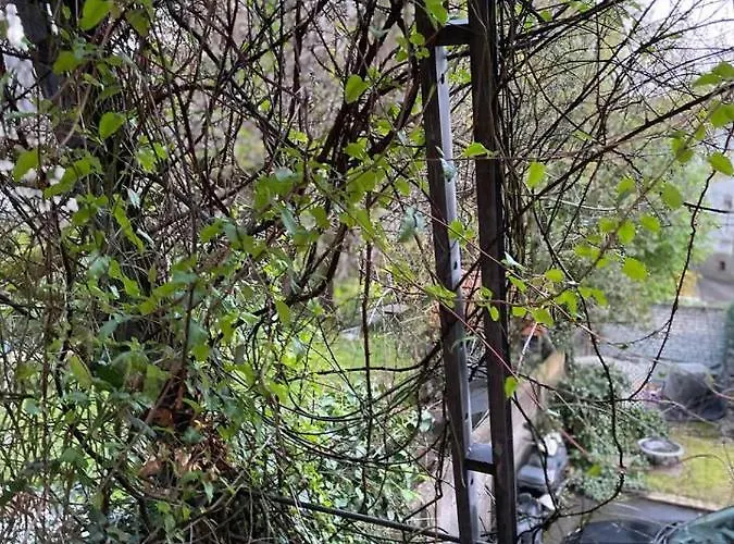 公寓 Schoene In Zentraler Lage Im Ruhrgebiet 威滕